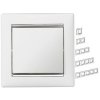 Legrand Valena - Jednoduchý rámik, biela/strieborný prúžok - 770491