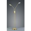 TRIO LIGHTING FOR YOU 423810208 MICHIGAN, Stojanové svietidlo