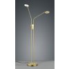 TRIO LIGHTING FOR YOU 423810208 MICHIGAN, Stojanové svietidlo