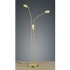 TRIO LIGHTING FOR YOU 423810208 MICHIGAN, Stojanové svietidlo