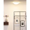 Lucide 79164/19/61 BIANCA-LED, Stropné svietidlo