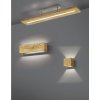 TRIO LIGHTING FOR 623710130 BRAD, Stropné svietidlo
