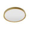 LED-POL ORO26021 OLMO stropné svietidlo
