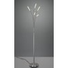 TRIO LIGHTING FOR YOU R41031507 REED, Stojanové svietidlo