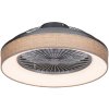 Rabalux 5420 Stropné svietidlo  s ventilatorom  Benicio