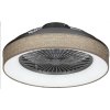 Rabalux 5420 Stropné svietidlo  s ventilatorom  Benicio
