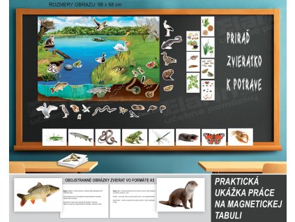 Príroda okolo nás 1