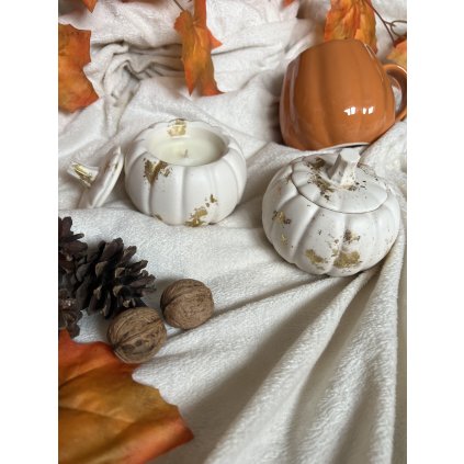 Dýně Pumpkin Spice