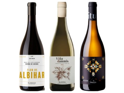 InCollage 20260319 174133622