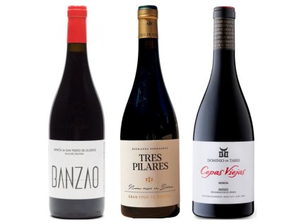 InCollage 20260319 173933376