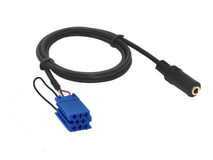 AUX vstup Grundig - JACK 3,5mm