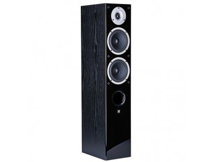 Podlahový reproduktor  RAPTOR RAPTOR5BLACK