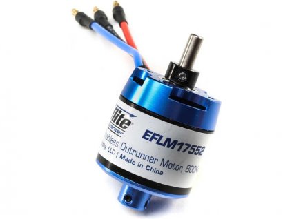 EFLM17552