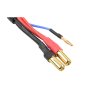 Nabíjecí kabel s 6S XH -> 5mm/2mm 30cm