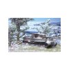 Scenic snow (sada) - DM-BD29