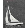 Ace Racing Sloop plachetnice 432mm - 4SP1102