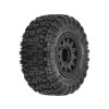 PRO1026210