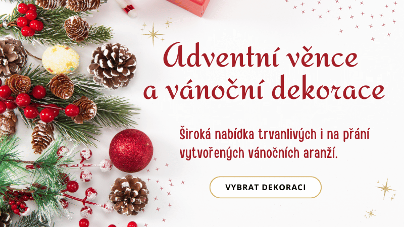 MOBIL HLAVNI | VANOCE