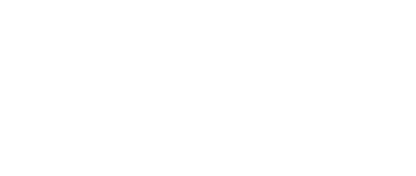 ELEGANTNÍ DEKORACE