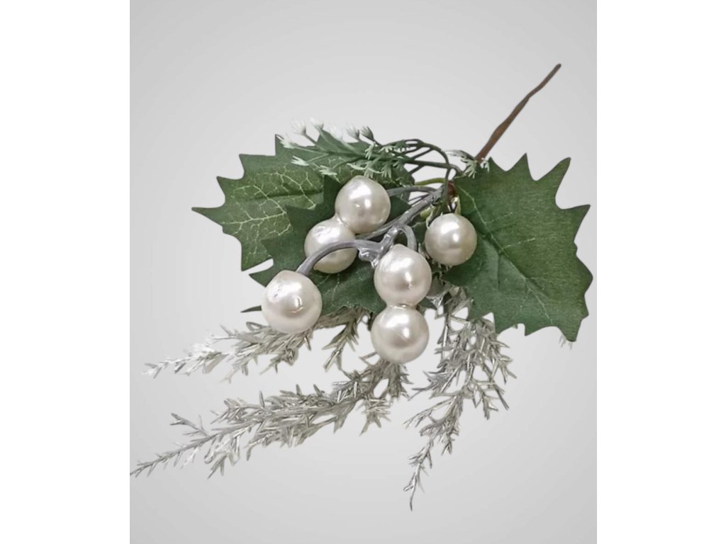 545372882 803493885958710 6489921761893780754 n