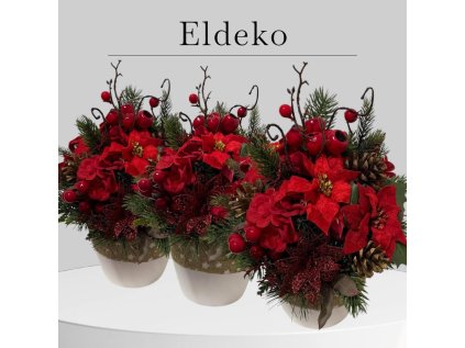 586913408 17991789737896751 1076670176326266166 n