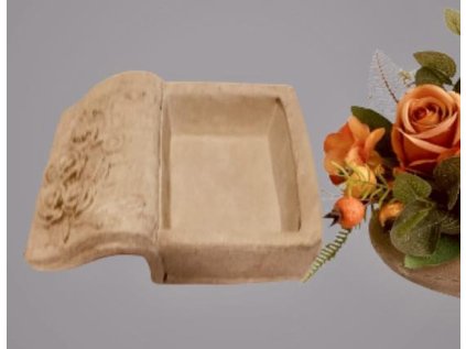 537611507 787842717523827 4596078078473021433 n