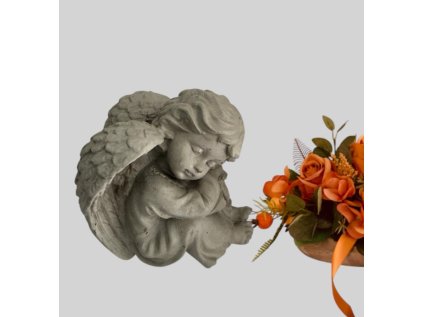 543411921 799436483031117 3652143779757887957 n