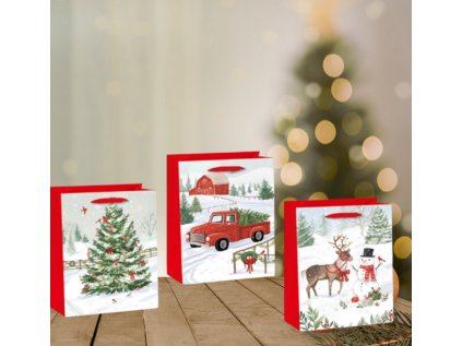 548028513 806776478963784 3683718534599981393 n