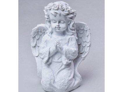 579866712 122094096735129564 1488587826457908510 n