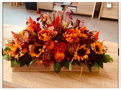 529754726 773391582302274 8484663021482822334 n (2)