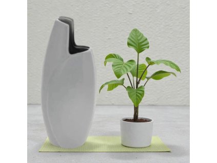 623041632 17998446656896751 8629977175305408161 n