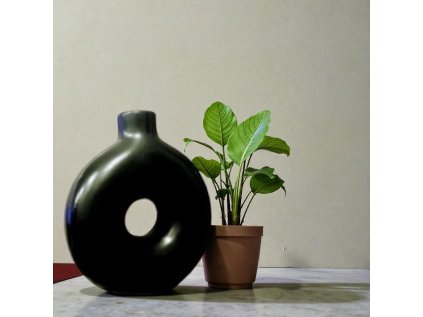 618074883 914288068212624 8449476814871995989 n