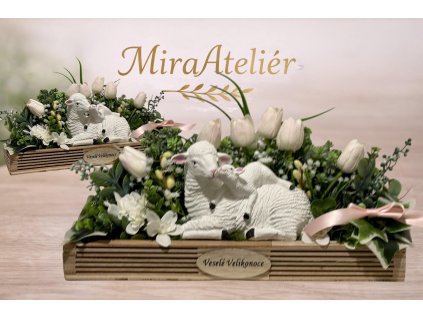 631038277 122121219843129564 8127796558732423415 n