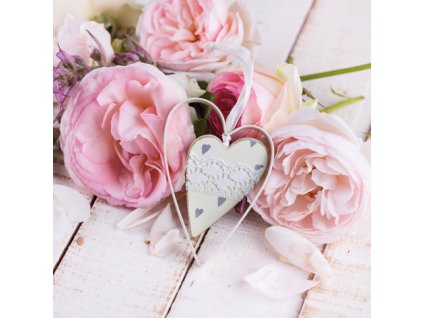 378531 Piviones avec Coeur DES 4x4 Q12