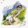 373647 Mountains are calling DES 4x4 Q12