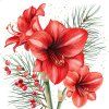 310240 Bouquet Hivernal d Amaryllis DES 4x4 Q12