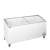 TEFCOLD IC 551 SCEB – Prosklený pultový mrazák, 2-oblá posuvná víka, 481 l, bílý
