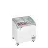 TEFCOLD NIC 201 SCEB – Prosklený pultový mrazák, 2-oblá posuvná víka, 138 l, bílý