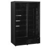 TEFCOLD Atom Maxi F2DBB – Mrazicí vitrína, 2-dveřová, NO FROST, 702 l, černá