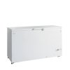TEFCOLD FR 505 SL – Pultový mrazák, plné víko, 454 l, bílý
