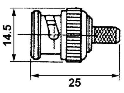 BNC1