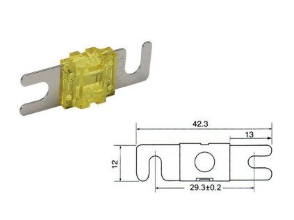 Autopoistka ANL Mini 100A