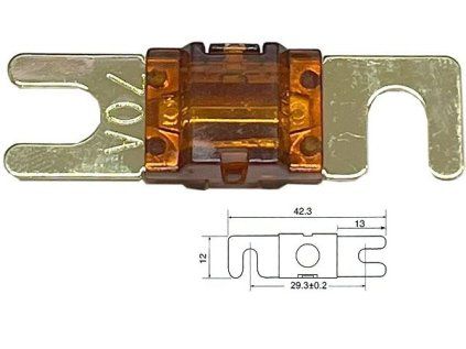Autopoistka ANL Mini 70A