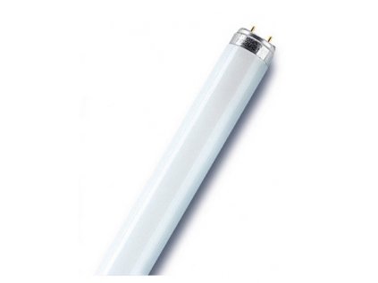 G13 15W