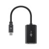 Adaptér GOOBAY 51773 USB-C/DisplayPort 0,2m