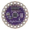 LilyPad Arduino 328 Main Board2