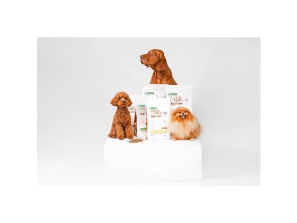 61I6Y1E1N0R0V1L7m6A4H538R6N1s4Y2