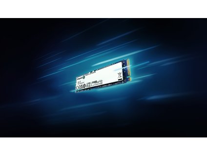 97O5t2o210w0O197I4h9k1g3p191B649