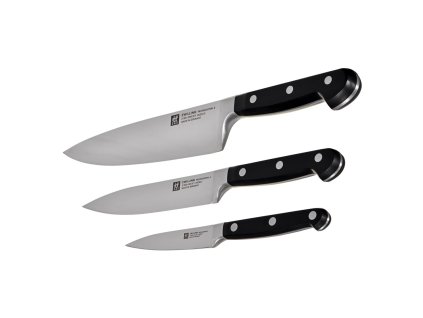 ZWILLING Set of knives Nerezová ocel Domácí nůž