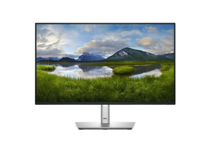 Počítačový monitor DELL P Series P2425H 61 cm (24") 1920 x 1080 px Full HD LCD, černý